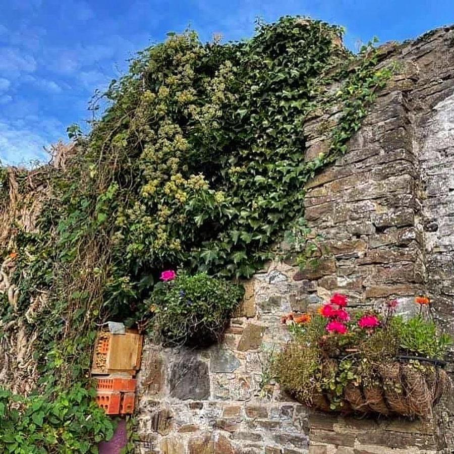 Lotte'S Cottage Bideford Bagian luar foto